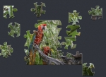 Game Microsoft Jigsaw