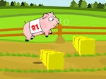 Game Pig Race