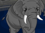 Play Zoo coloring free