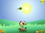 Game Frisbee Dog