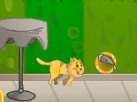 Play Fur and Furious free