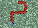 Play The Fruit Snake free